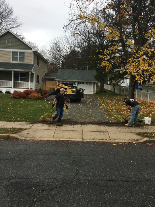 Residential Work in Progress - photo 5